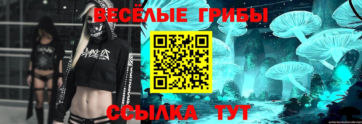 Мытищи  купить наркоту  Вход с VPN  Псилоцибиновые грибы прущие грибы  Псилоцибиновые грибы ЛСД 