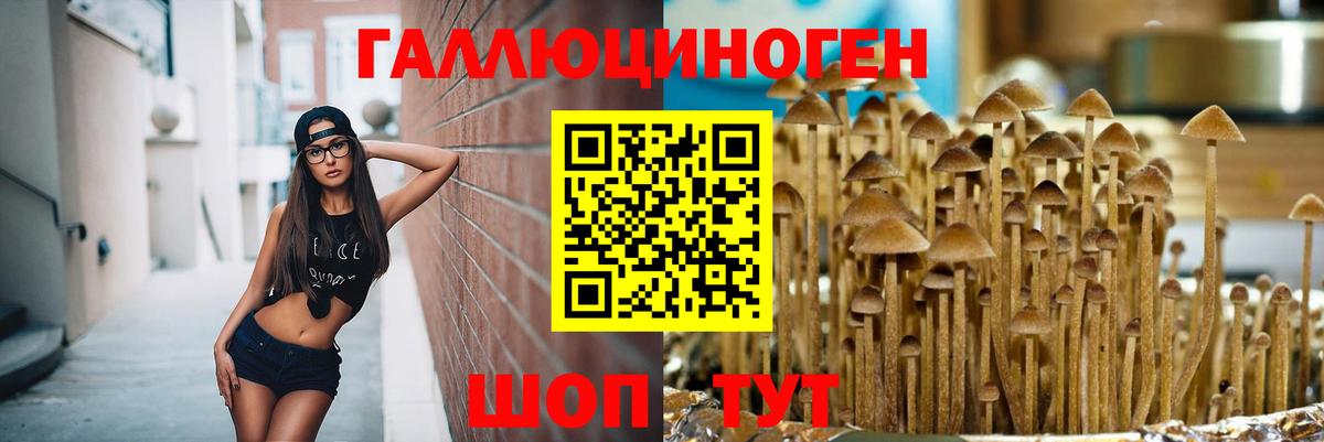 Галлюциногенные грибы Psilocybe Мытищи